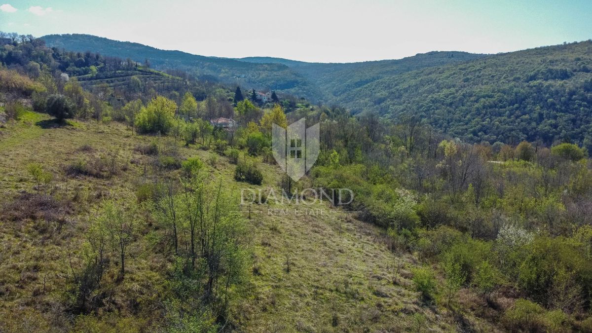 Terreno Brkač, Motovun, 12.701m2