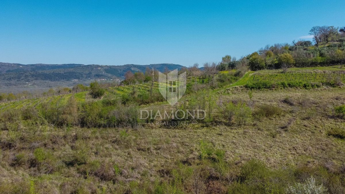 Terreno Brkač, Motovun, 12.701m2