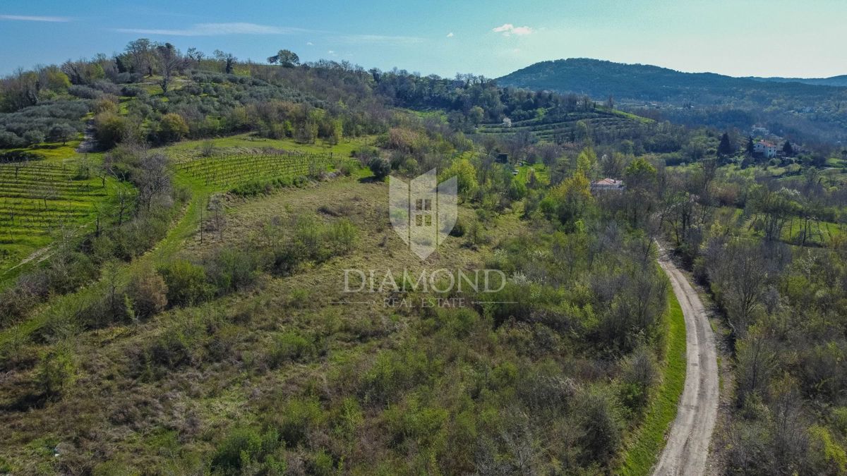Terreno Brkač, Motovun, 12.701m2