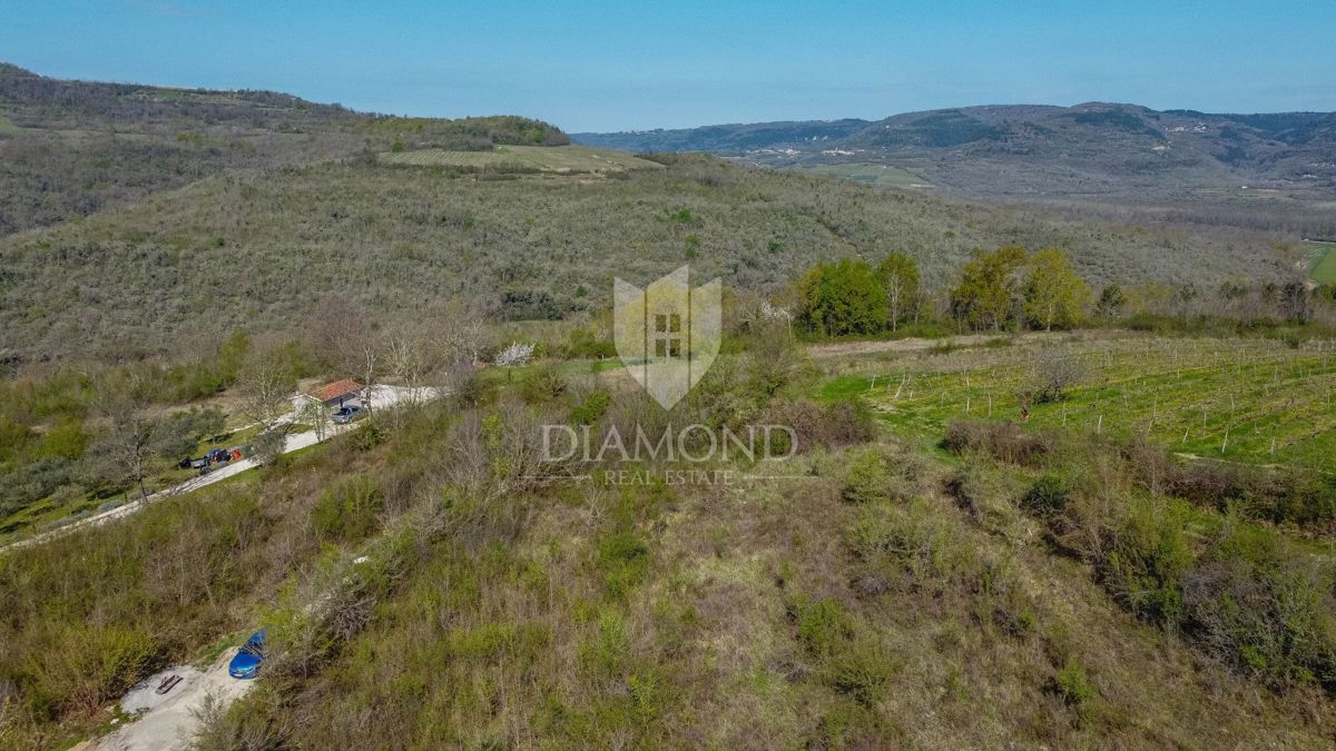 Terreno Brkač, Motovun, 12.701m2