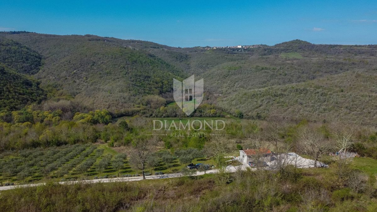 Terreno Brkač, Motovun, 12.701m2