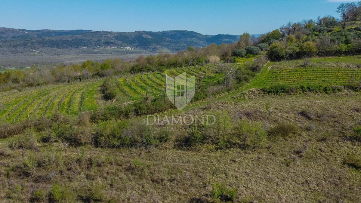 Terreno Brkač, Motovun, 12.701m2