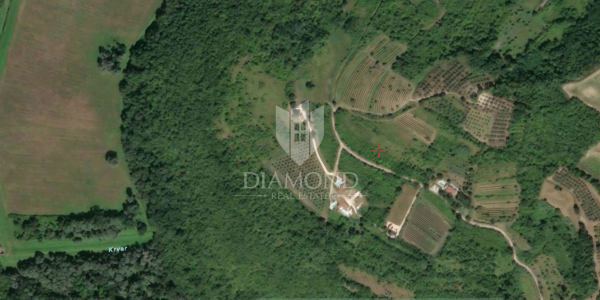 Terreno Brkač, Motovun, 12.701m2