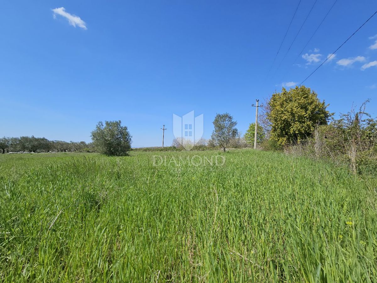 Parenzo, dintorni - terreno con vista mare