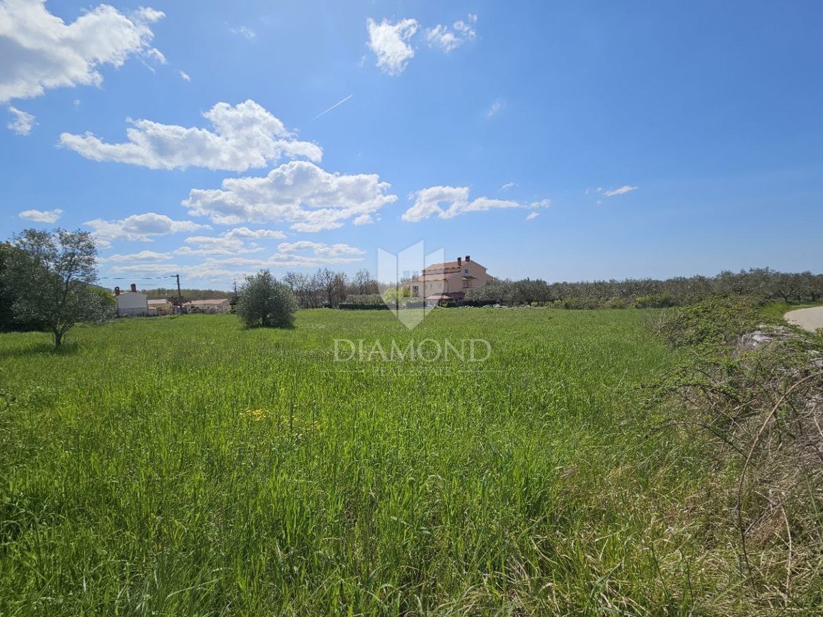 Parenzo, dintorni - terreno con vista mare