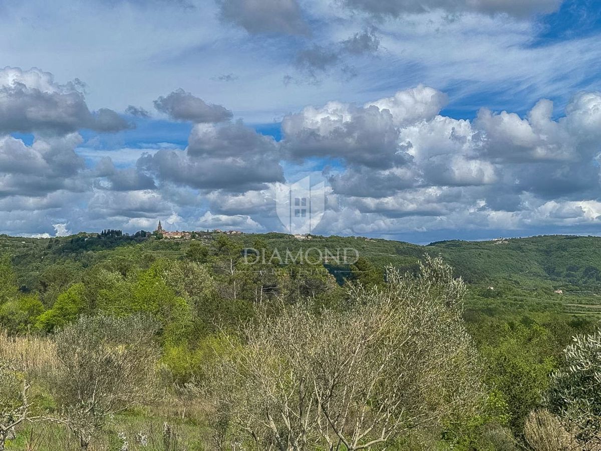 Istria, Buie, dintorni - opportunità di investimento!