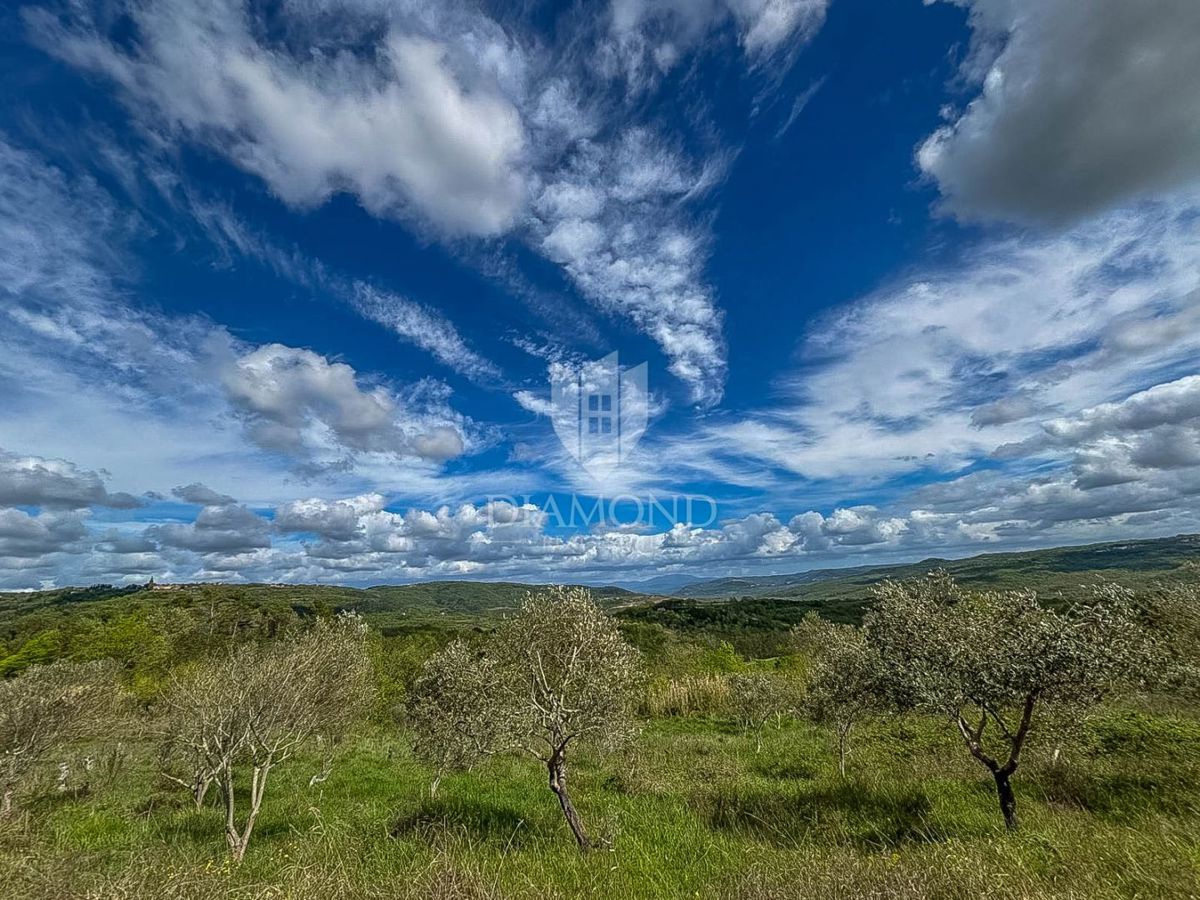 Istria, Buie, dintorni - opportunità di investimento!