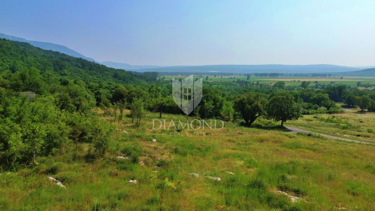 Kršan, dintorni, terreno edificabile immerso nella natura