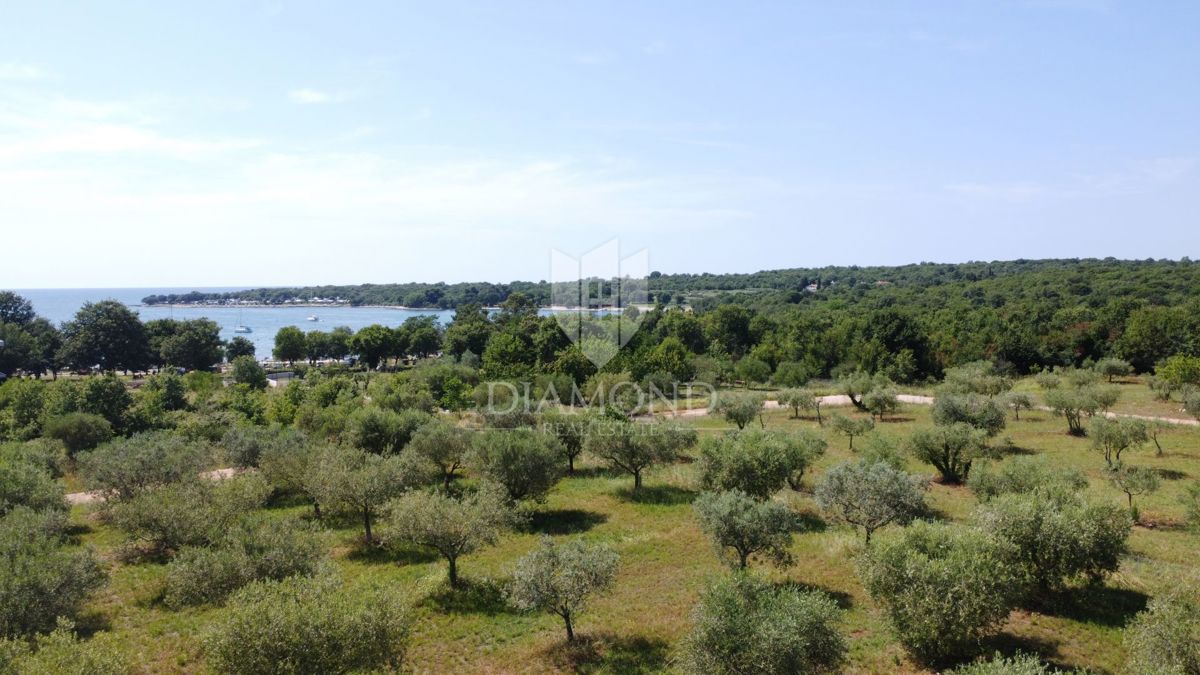 Parenzo, una villa moderna in una posizione esclusiva!