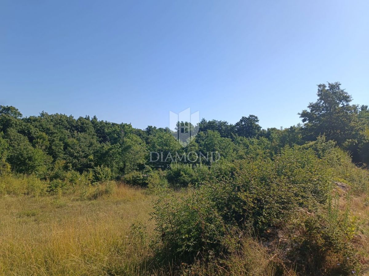 Svetvinčenat, terreno edificabile in ottima posizione!