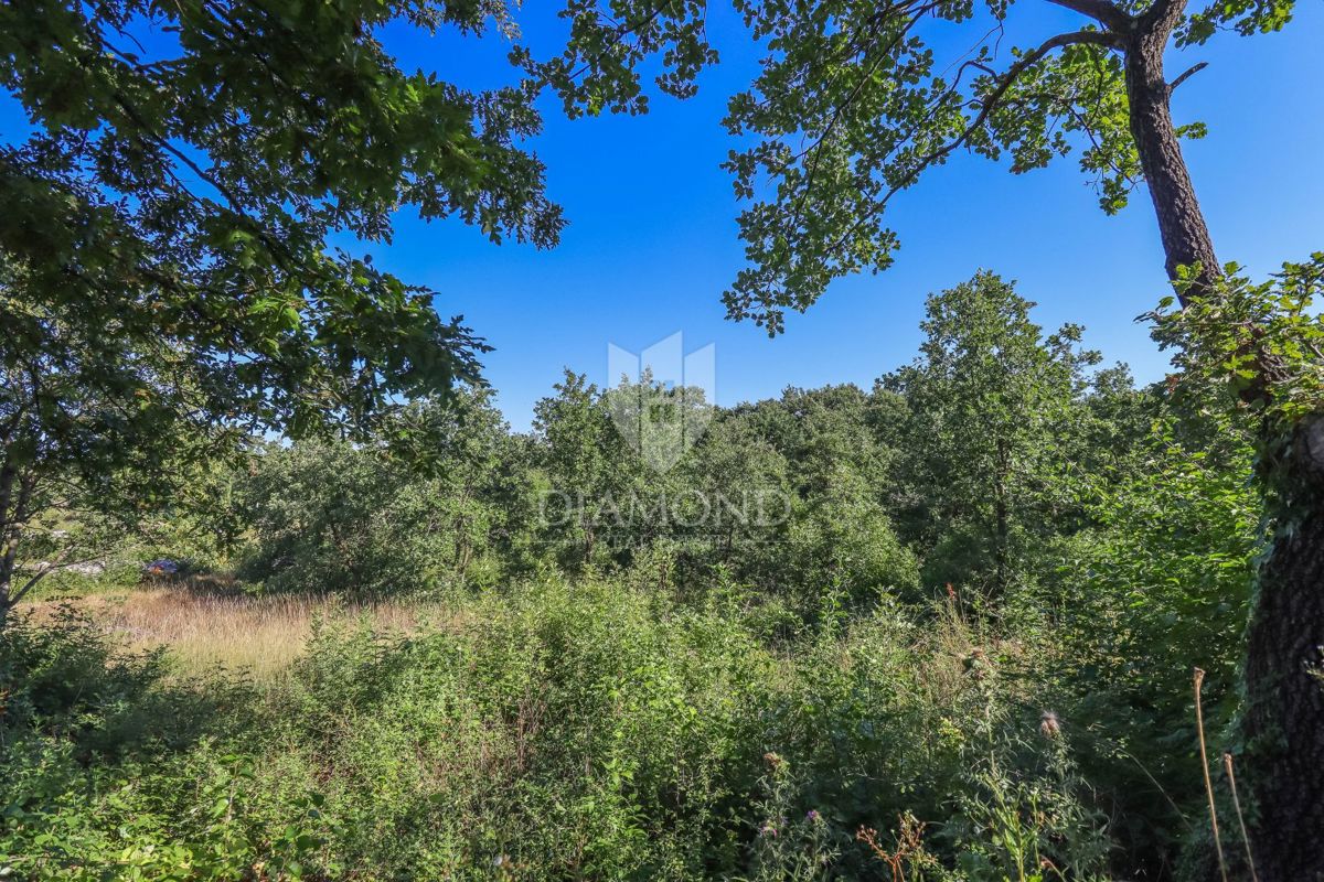 Svetvinčenat, terreno edificabile in ottima posizione!