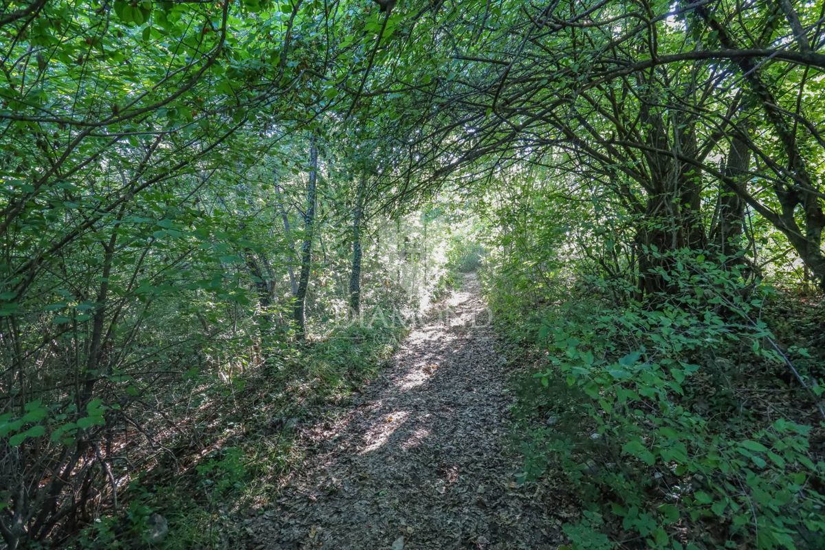 Svetvinčenat, terreno edificabile in ottima posizione!