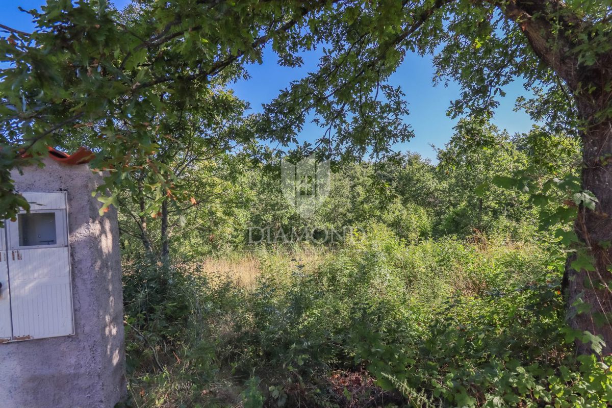 Svetvinčenat, terreno edificabile in ottima posizione!