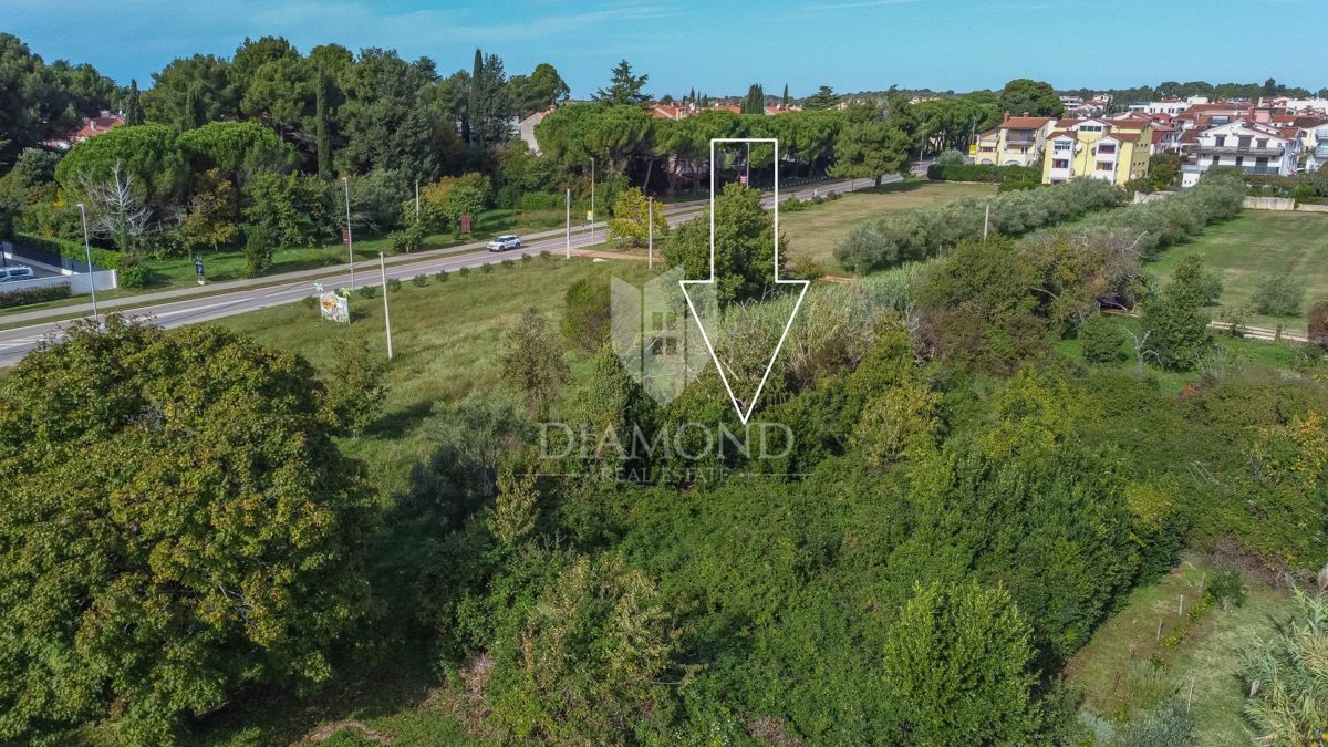 In Esclusiva! Cittanova, terreno in posizione eccezionale!