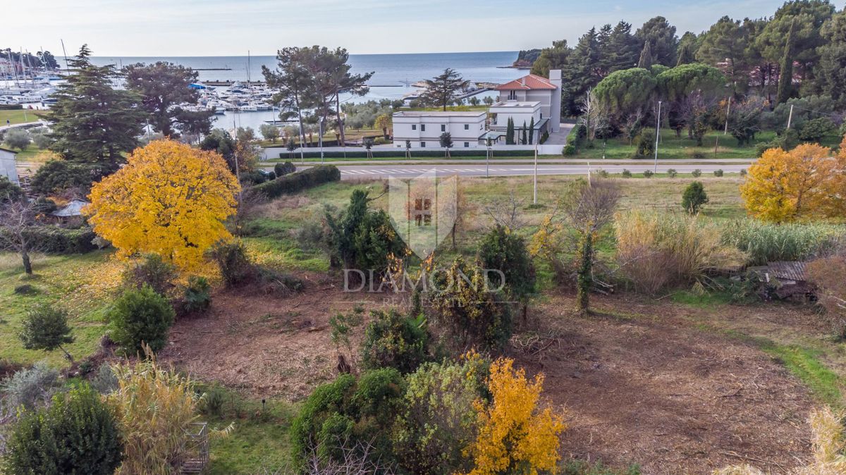 In Esclusiva! Cittanova, terreno in posizione eccezionale!