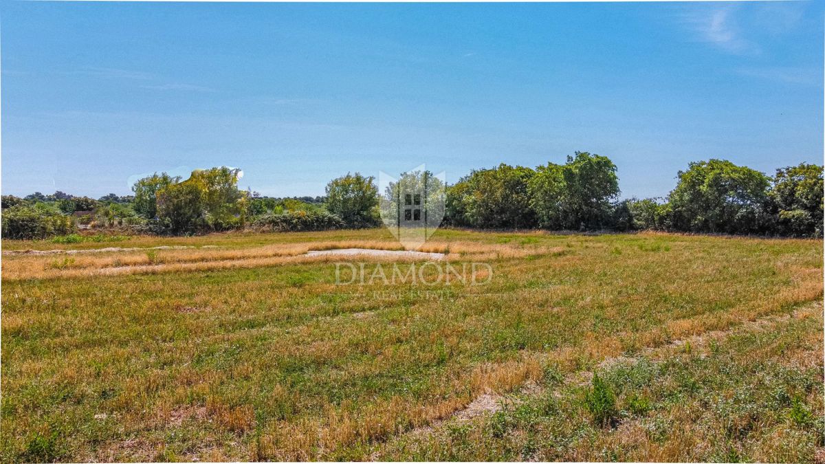 Fasana, dintorni, terreno attraente con vista mare