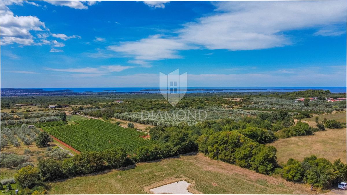 Fasana, dintorni, terreno attraente con vista mare