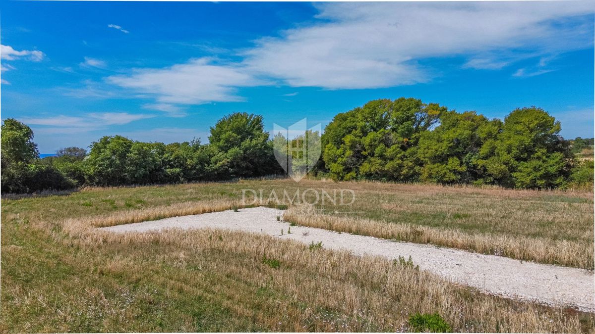Fasana, dintorni, terreno attraente con vista mare
