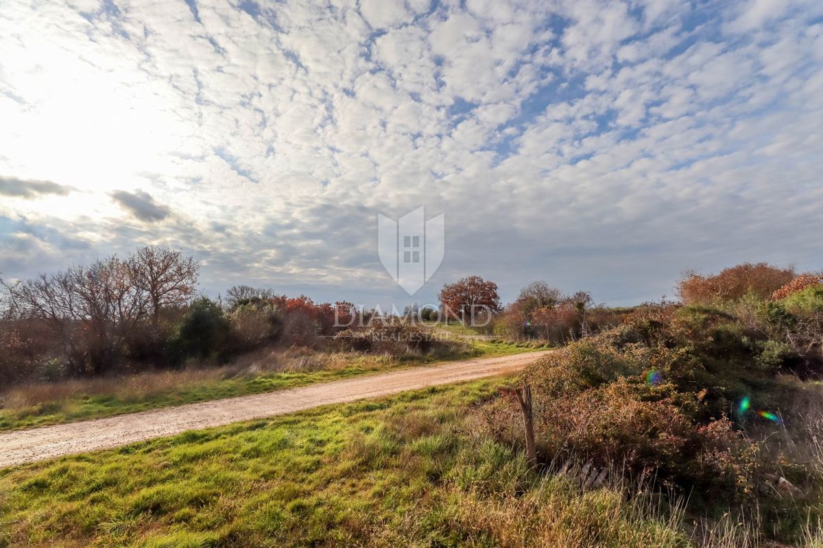 Valle, casa in pietra isolata da ristrutturare