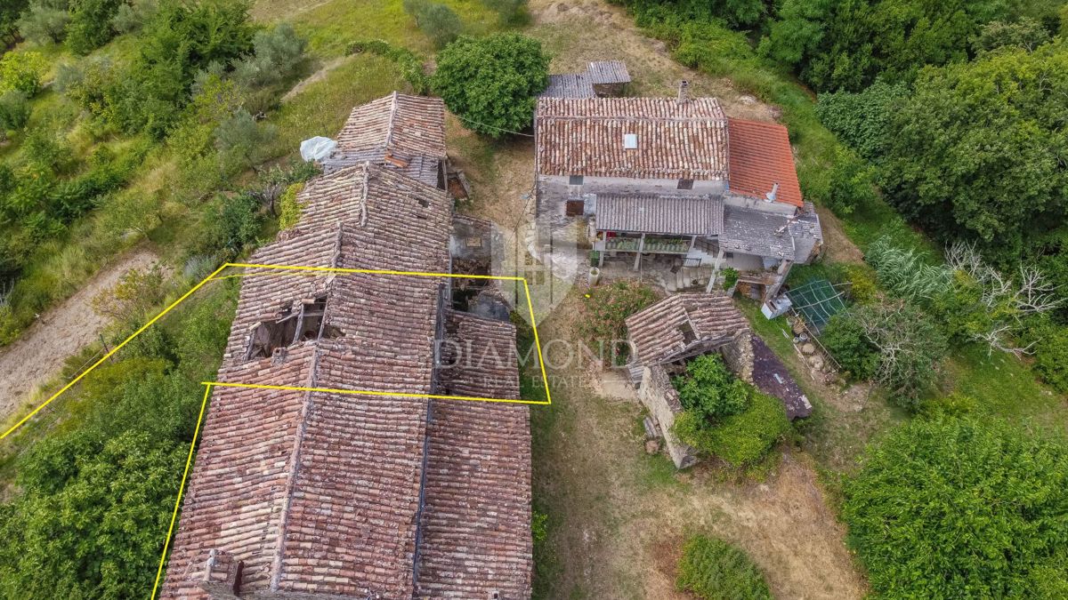 Montona, dintorni - un'antichità con un grande potenziale nel cuore dell'Istria