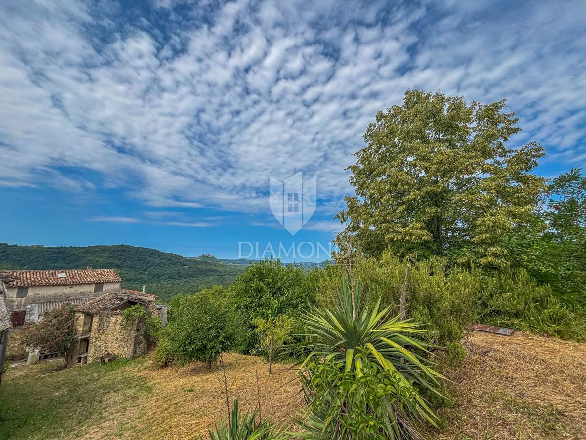 Montona, dintorni - un'antichità con un grande potenziale nel cuore dell'Istria