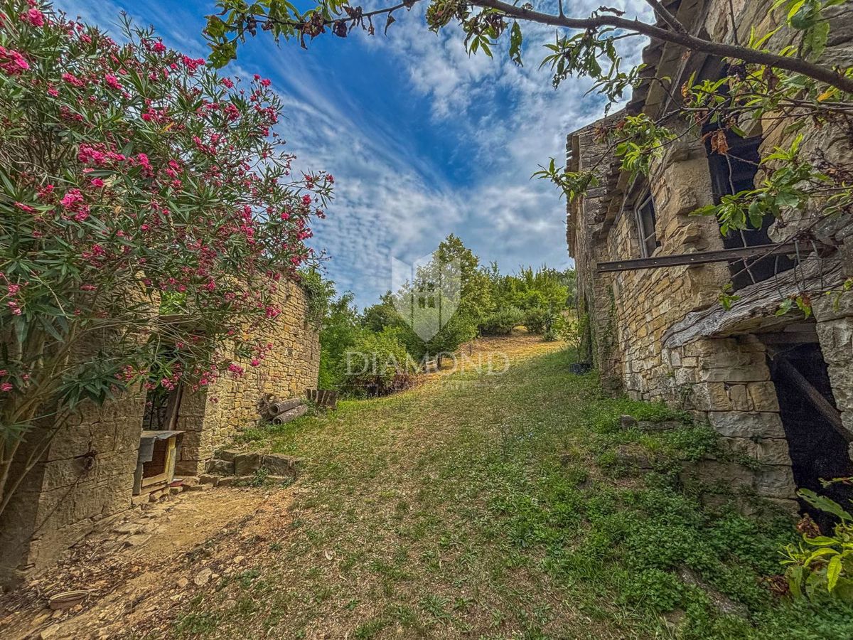 Montona, dintorni - un'antichità con un grande potenziale nel cuore dell'Istria