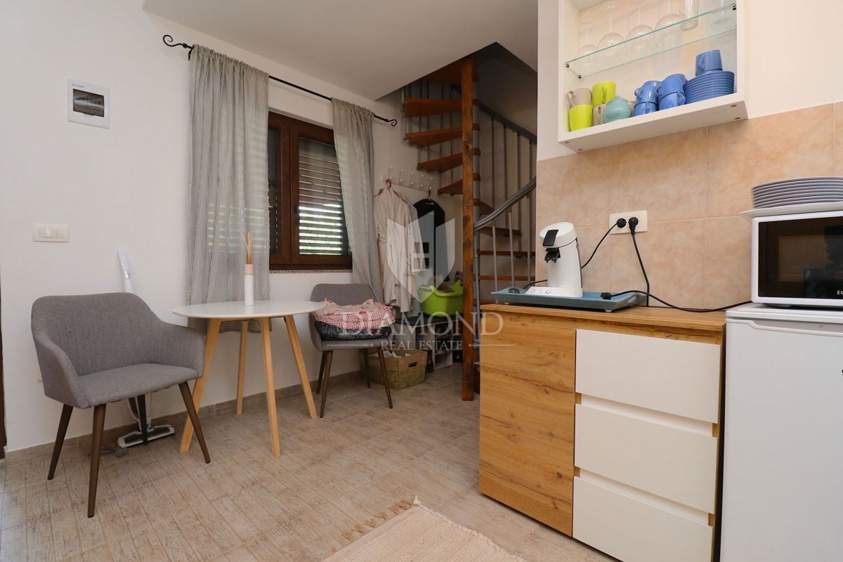 Labin, splendida casa vacanze con due appartamenti