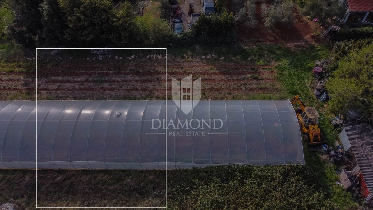 Umag, dintorni, terreno in posizione fantastica!