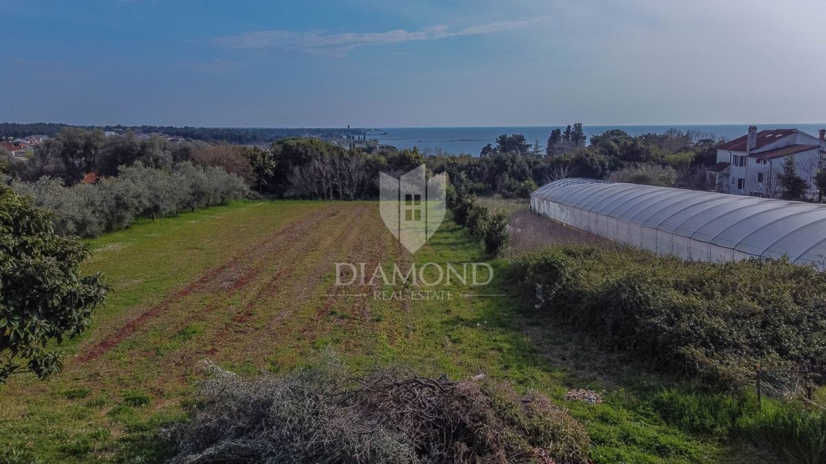 Umag, dintorni, terreno in posizione fantastica!