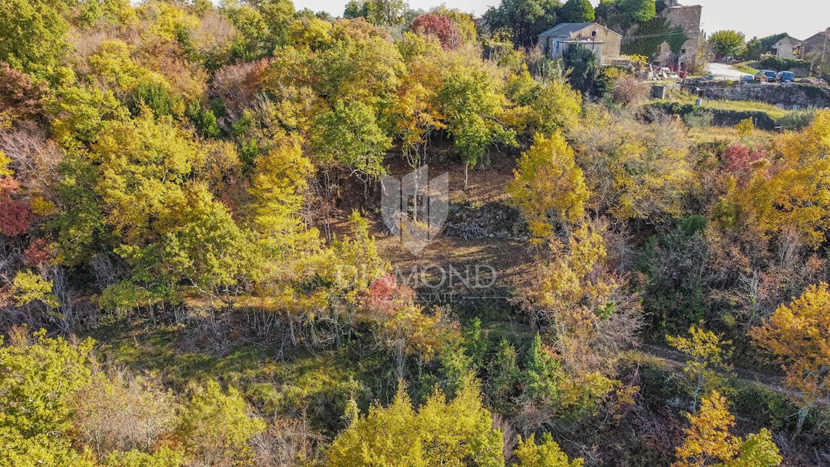 Terreno edificabile con una bella vista vicino a Grisignana