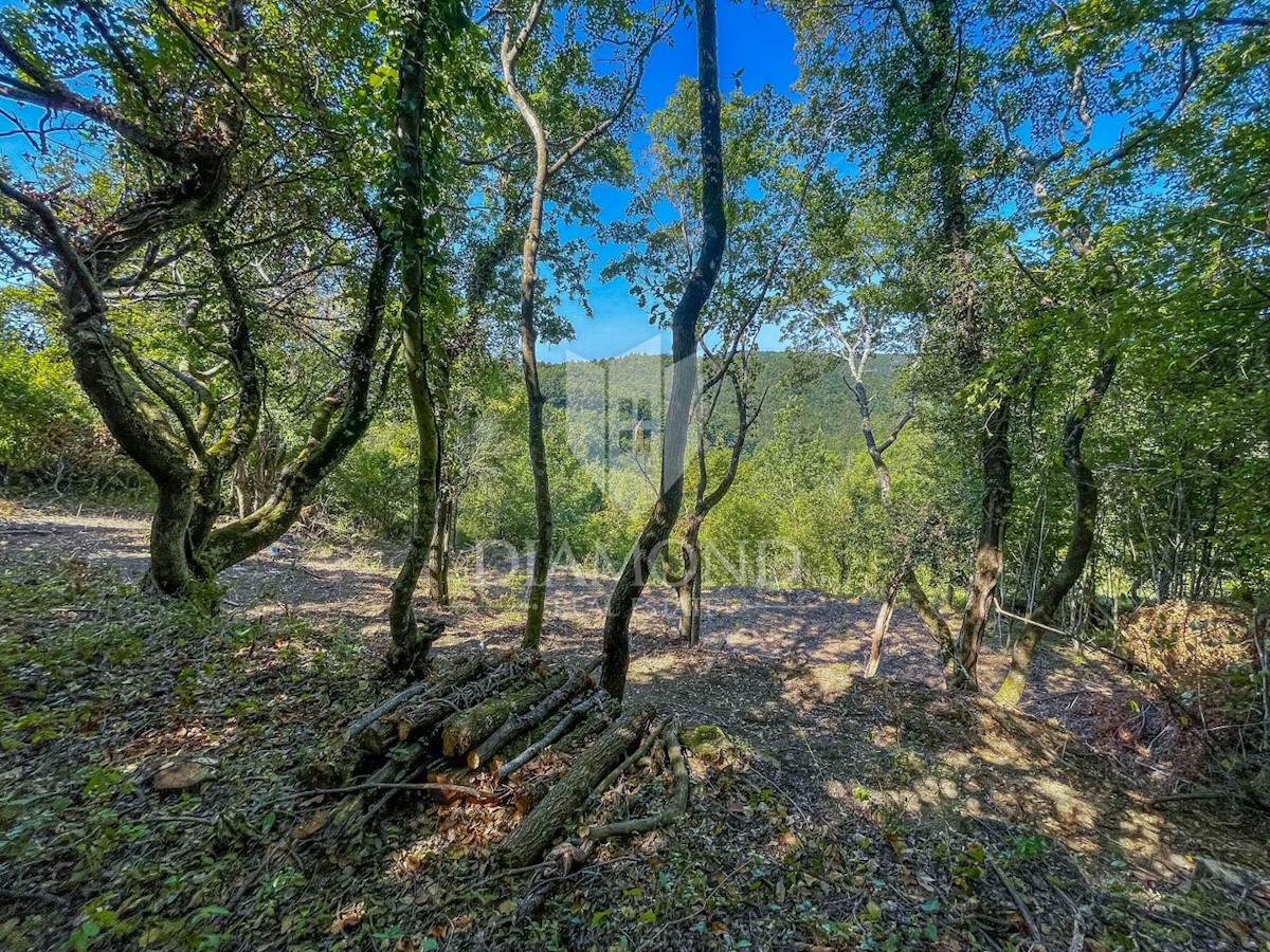 Terreno edificabile con una bella vista vicino a Grisignana