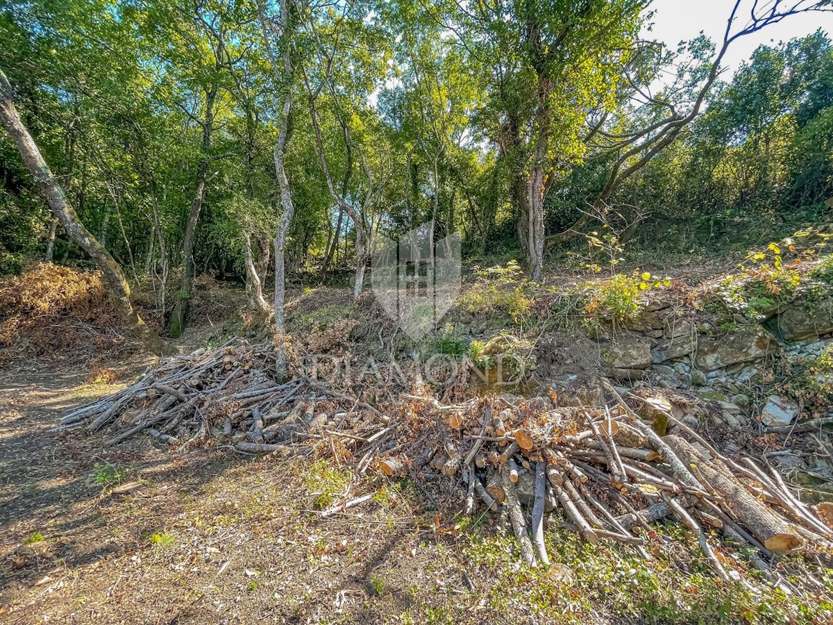 Terreno edificabile con una bella vista vicino a Grisignana