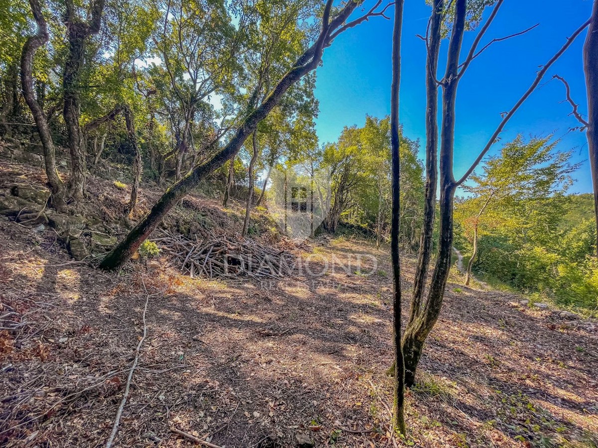 Terreno edificabile con una bella vista vicino a Grisignana