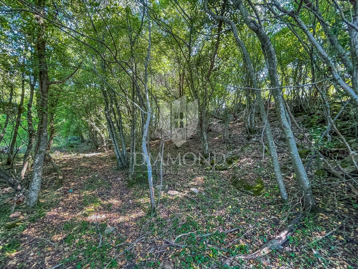 Terreno edificabile con una bella vista vicino a Grisignana