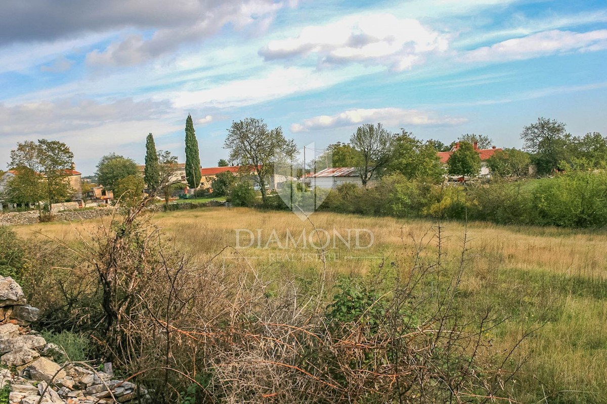 Barban, dintorni, ampio terreno in un luogo tranquillo