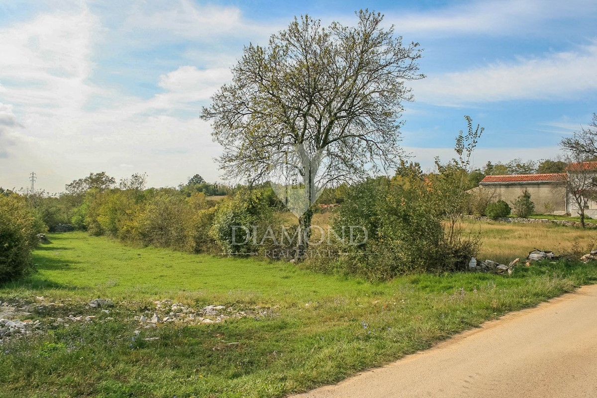 Barban, dintorni, ampio terreno in un luogo tranquillo