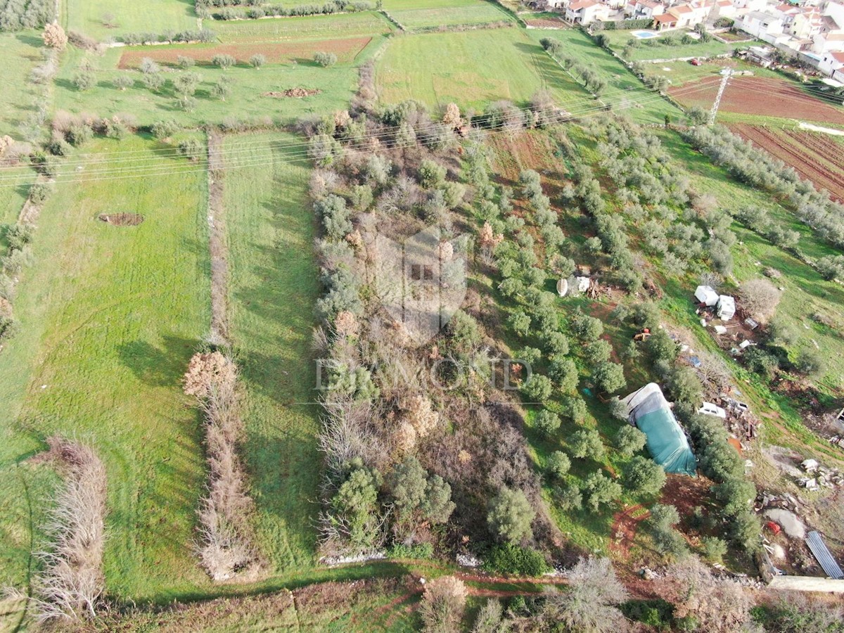 Marčana, dintorni, complesso di terreni edificabili e agricoli