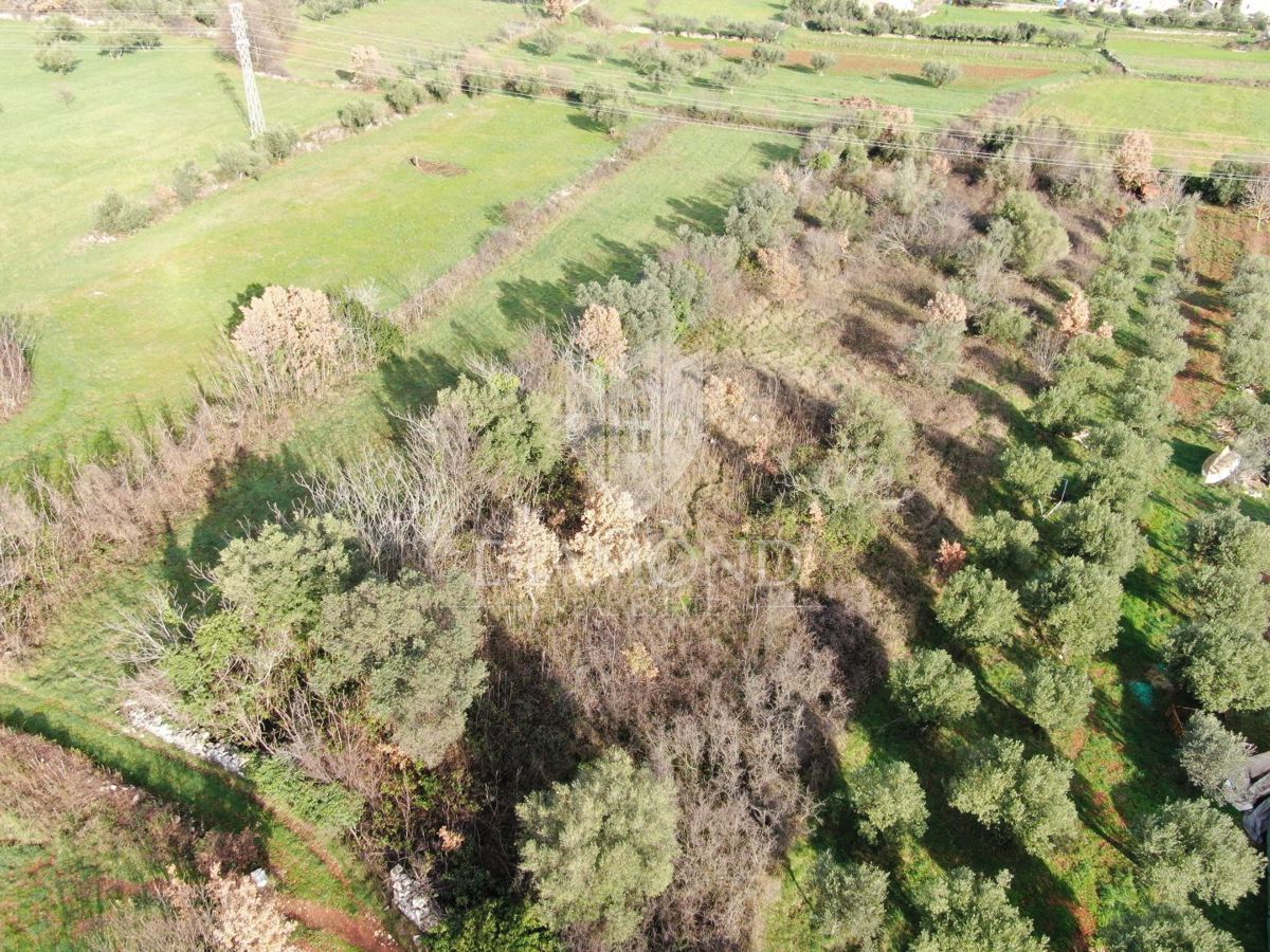 Marčana, dintorni, complesso di terreni edificabili e agricoli