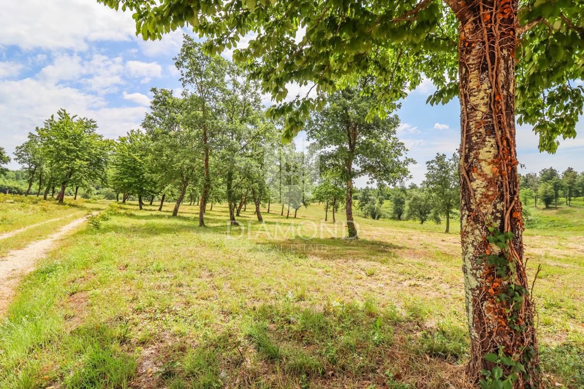 Terreno Poreč, 842m2