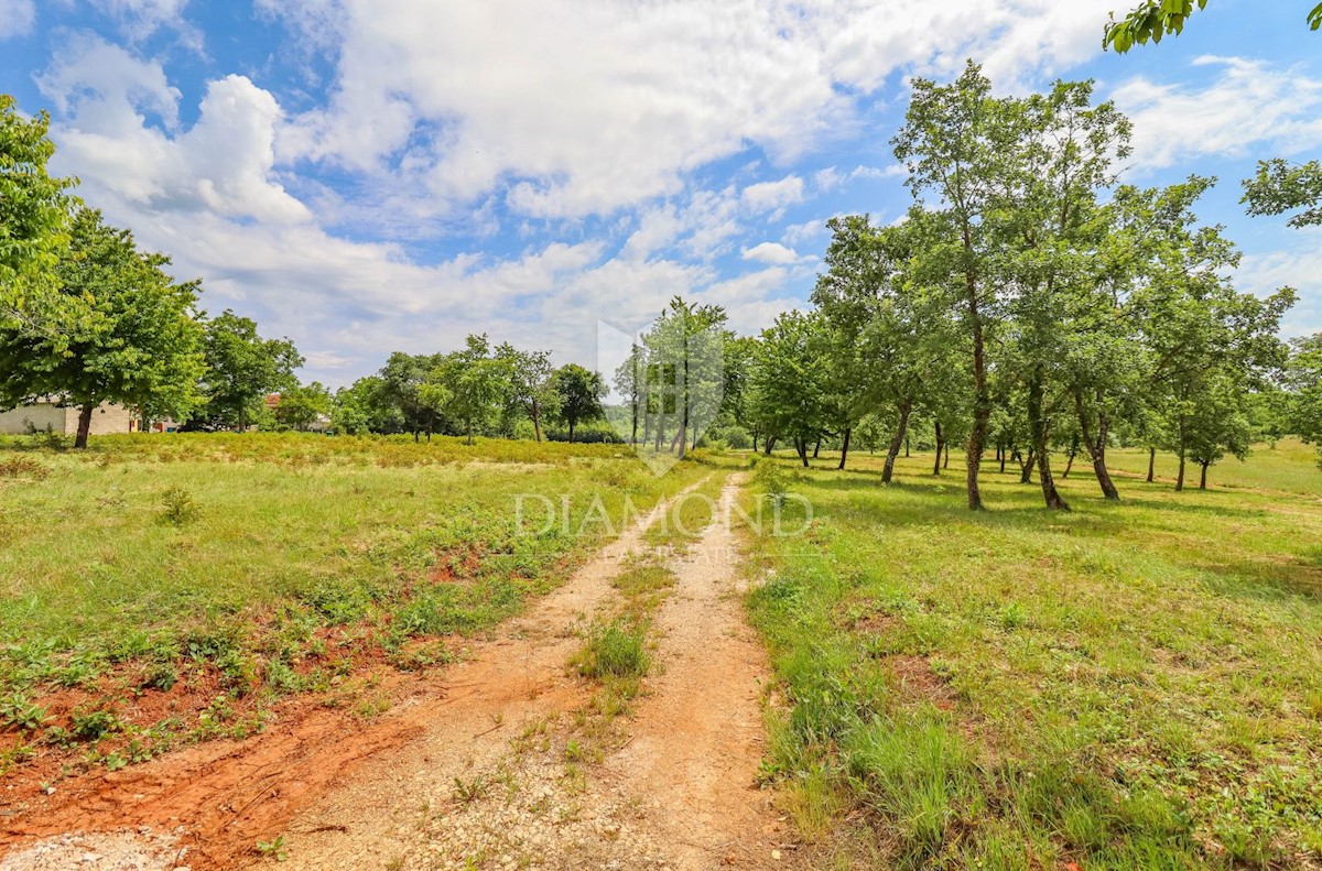 Terreno Poreč, 842m2