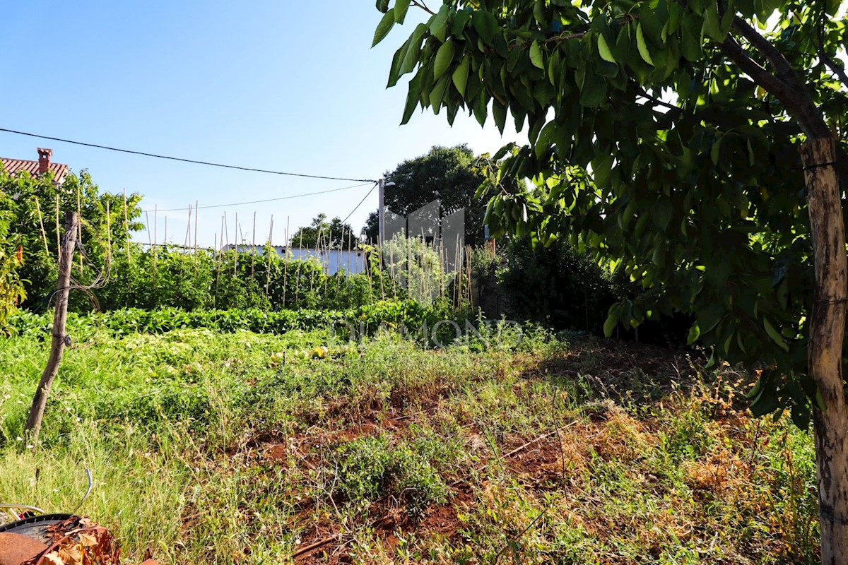 Parenzo, dintorni, bella casa in pietra in un posto tranquillo!