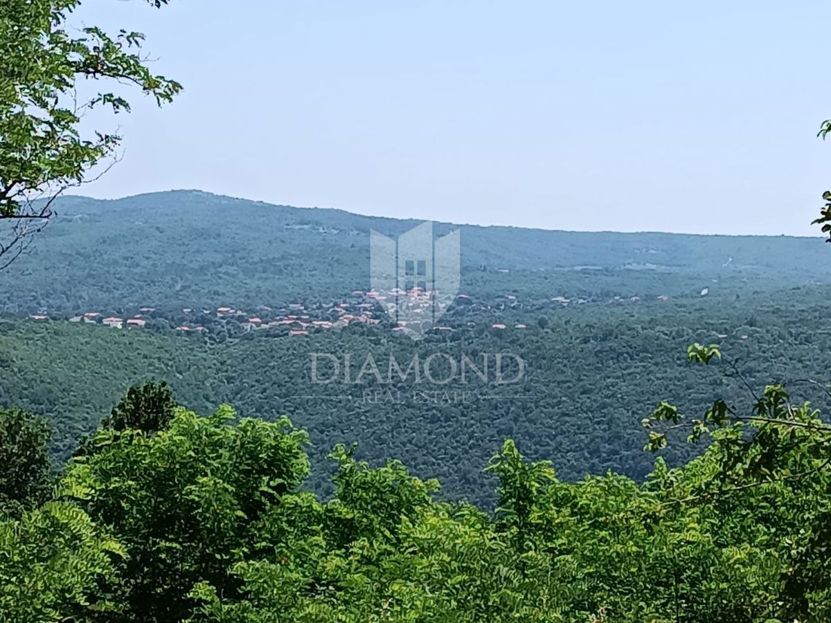 Terreno con progetto e concessione edilizia