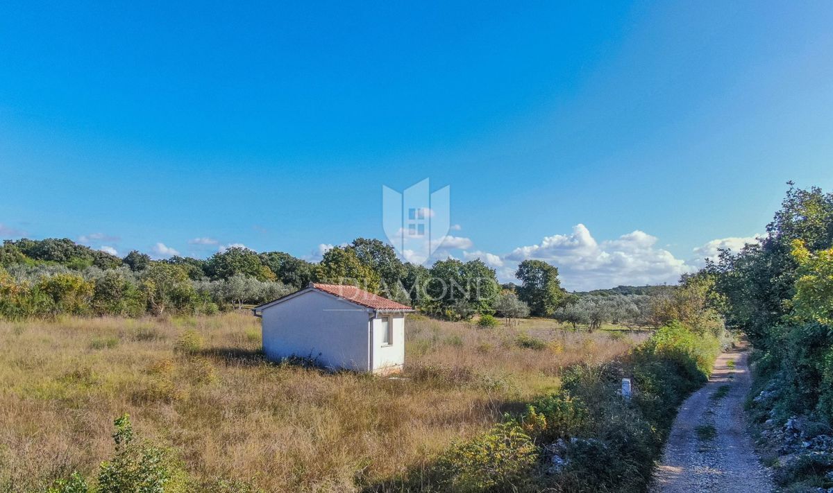 Rovigno, una casa su terreno agricolo vicino al mare