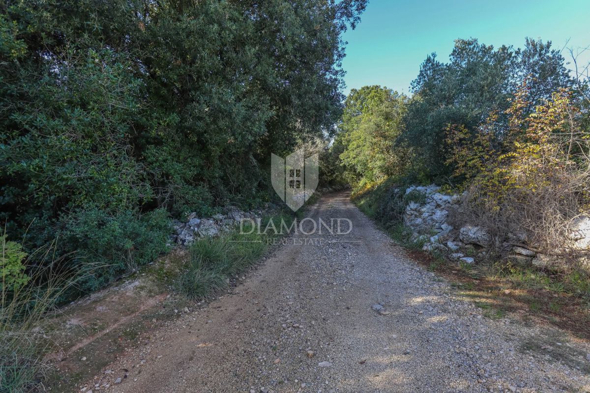 Rovigno, una casa su terreno agricolo vicino al mare