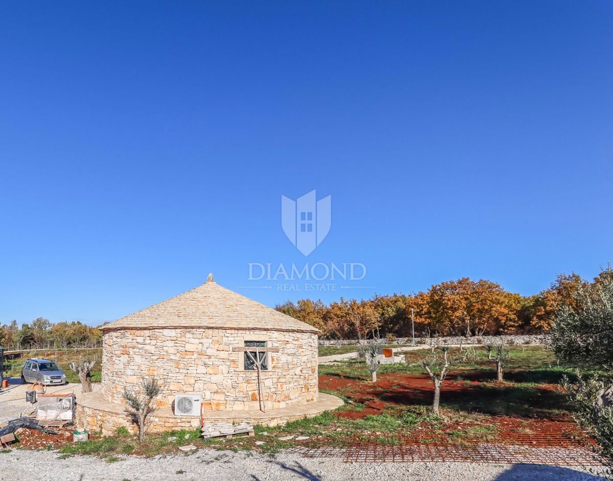 ESCLUSIVO! Uliveto con olio pregiato e pluripremiato