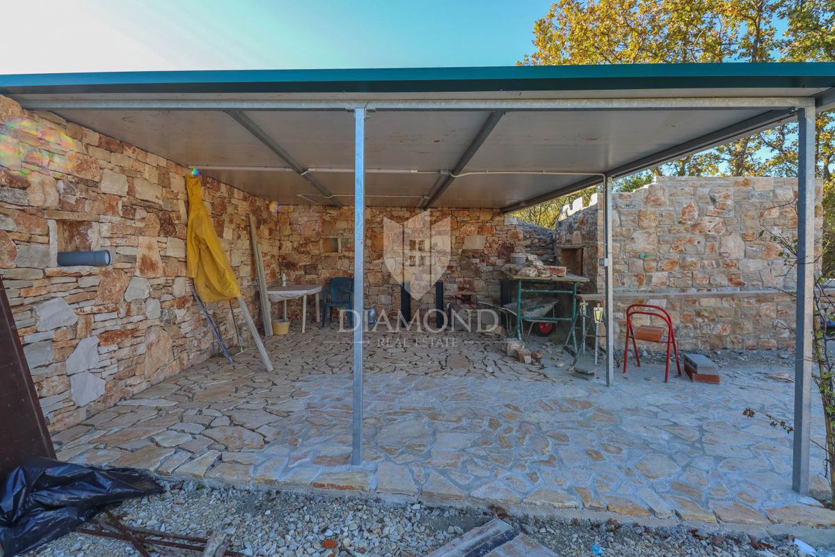 ESCLUSIVO! Uliveto con olio pregiato e pluripremiato