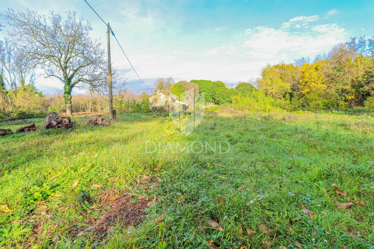 Oprtalj, dintorni! Terreno edificabile con ruderi in posizione tranquilla!