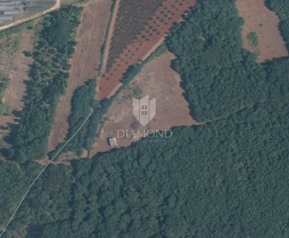 Kaštelir, ampio terreno agricolo