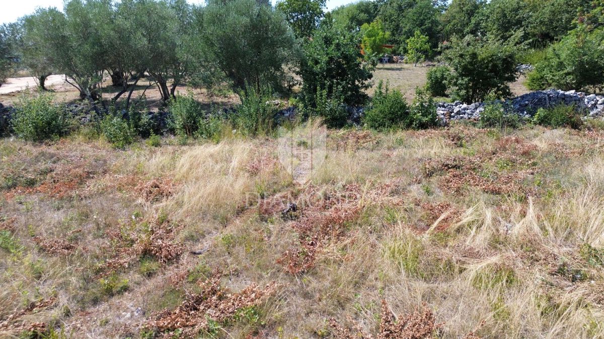 Marčana, terreno edificabile vicino al mare