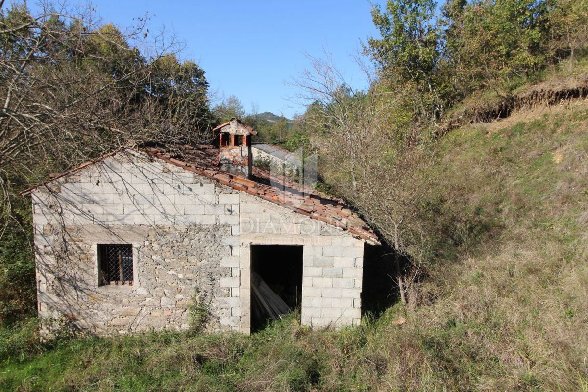 Casa da adattare con terreno di 30.000 mq